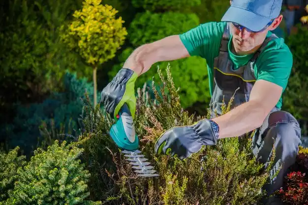 landscaping services Beacon